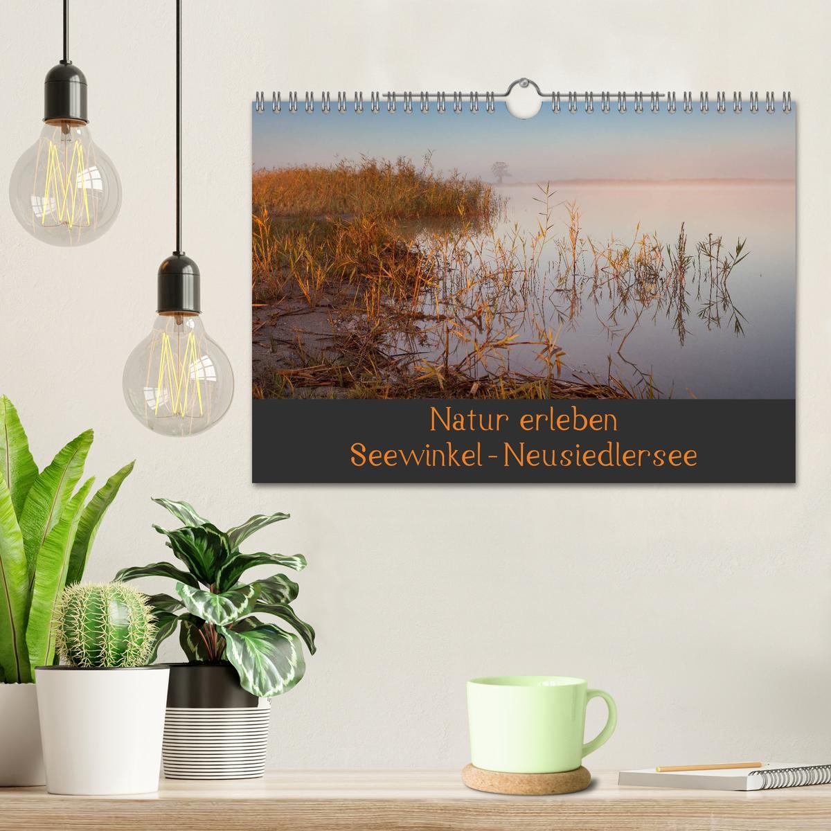 Bild: 9783435492695 | Natur erleben Seewinkel-Neusiedlersee (Wandkalender 2025 DIN A4...