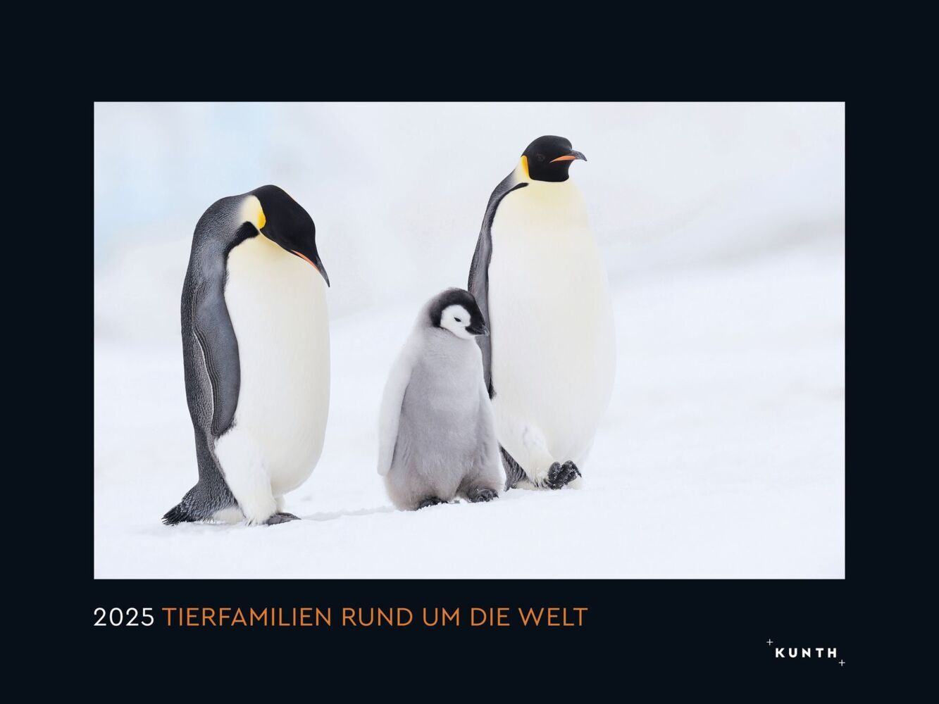 Cover: 9783965913639 | Tierfamilien rund um die Welt - KUNTH Wandkalender 2025 | Kalender