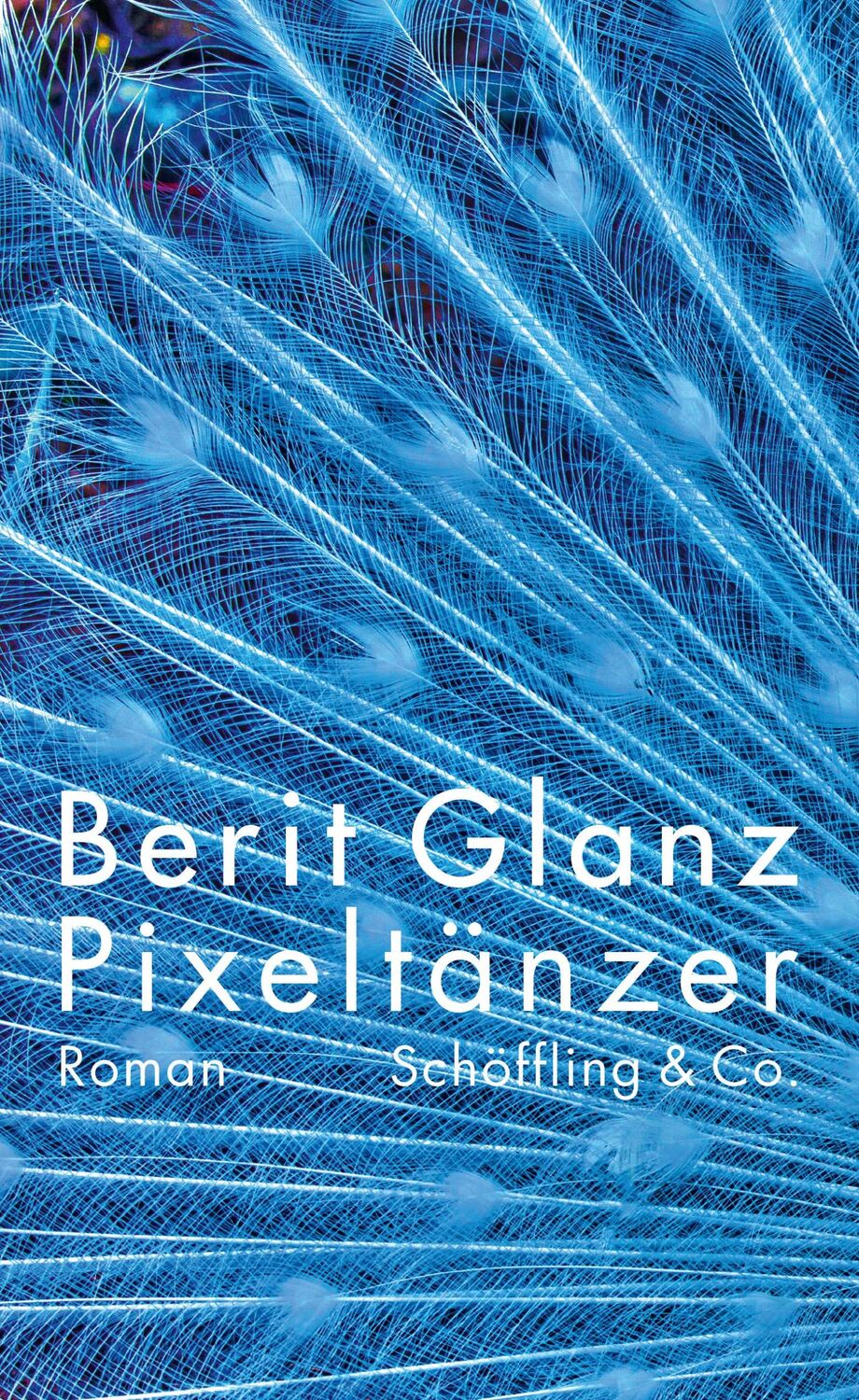 Cover: 9783895611926 | Pixeltänzer | Berit Glanz | Buch | 256 S. | Deutsch | 2019