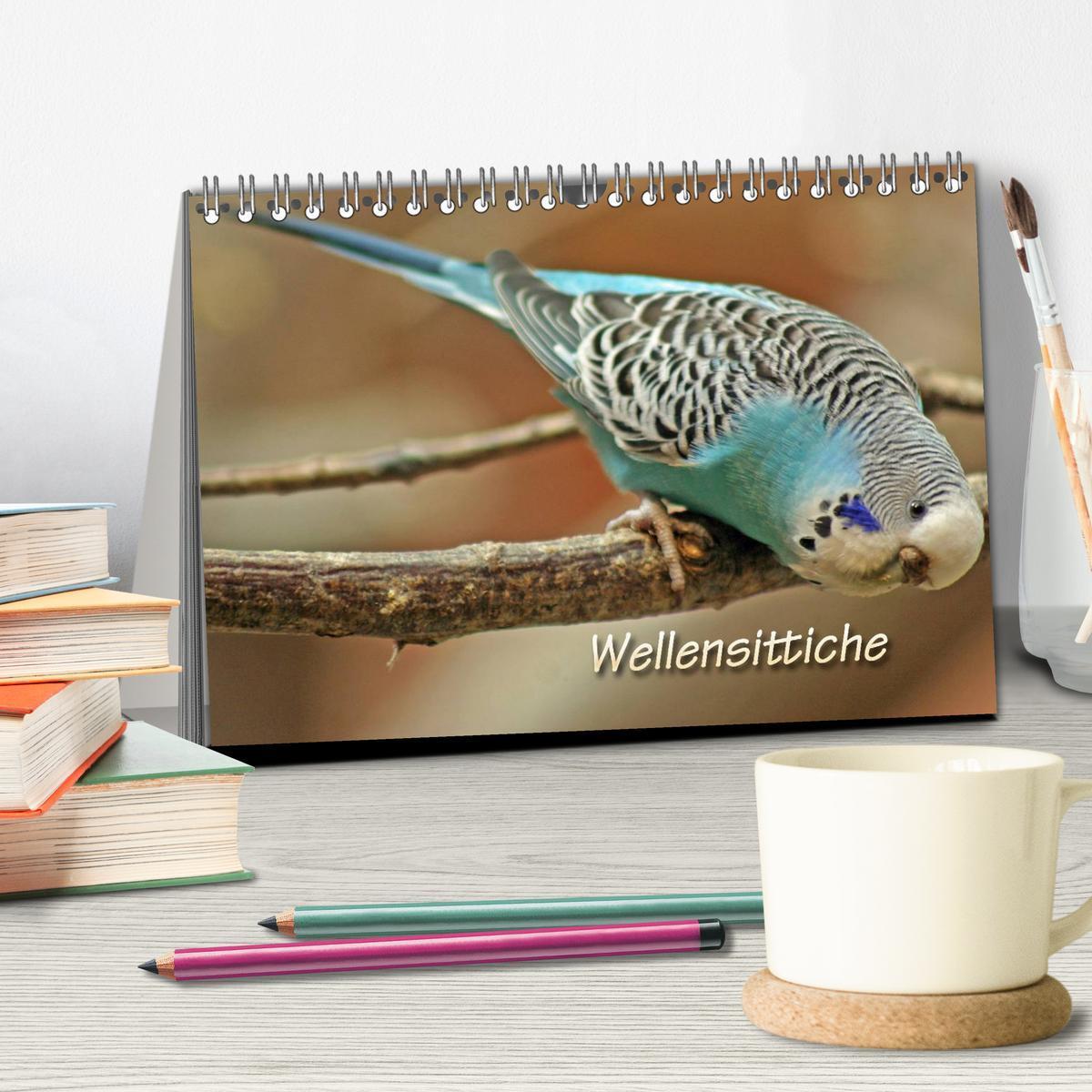 Bild: 9783435787906 | Wellensittiche (Tischkalender 2025 DIN A5 quer), CALVENDO...