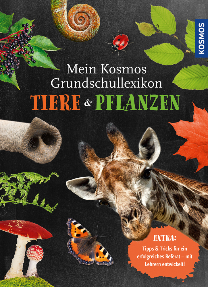 Cover: 9783440168264 | Mein Kosmos Grundschullexikon Tiere &amp; Pflanzen | Ilka Sokolowski