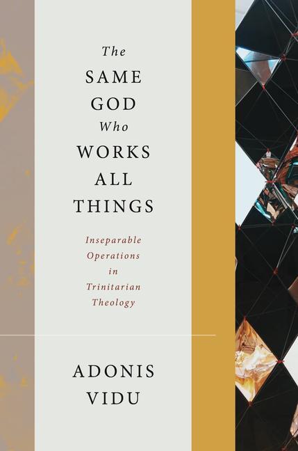 Cover: 9780802874436 | The Same God Who Works All Things | Adonis Vidu | Buch | Gebunden