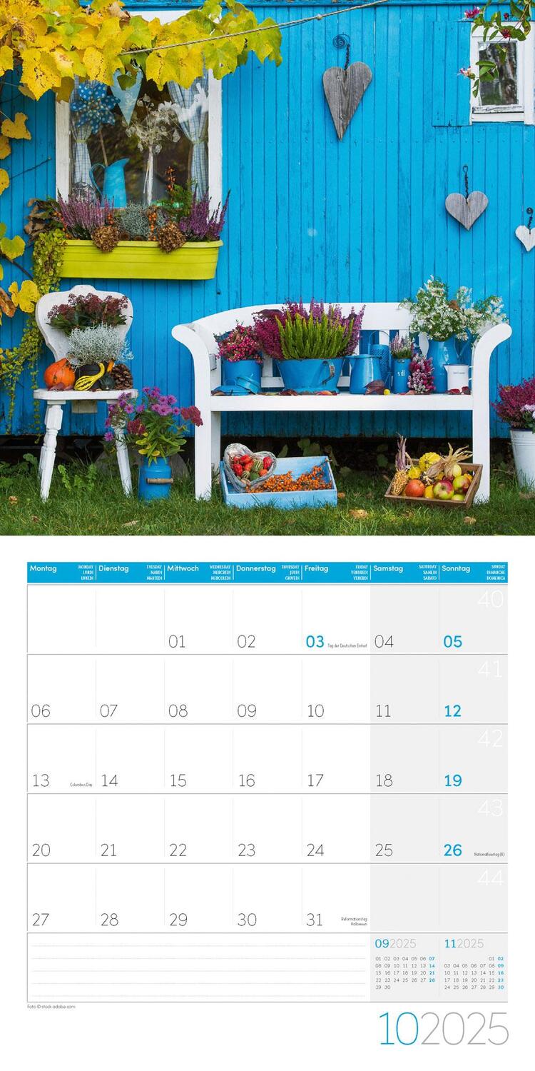 Bild: 9783838445304 | In meinem Garten Kalender 2025 - 30x30 | Ackermann Kunstverlag | 28 S.