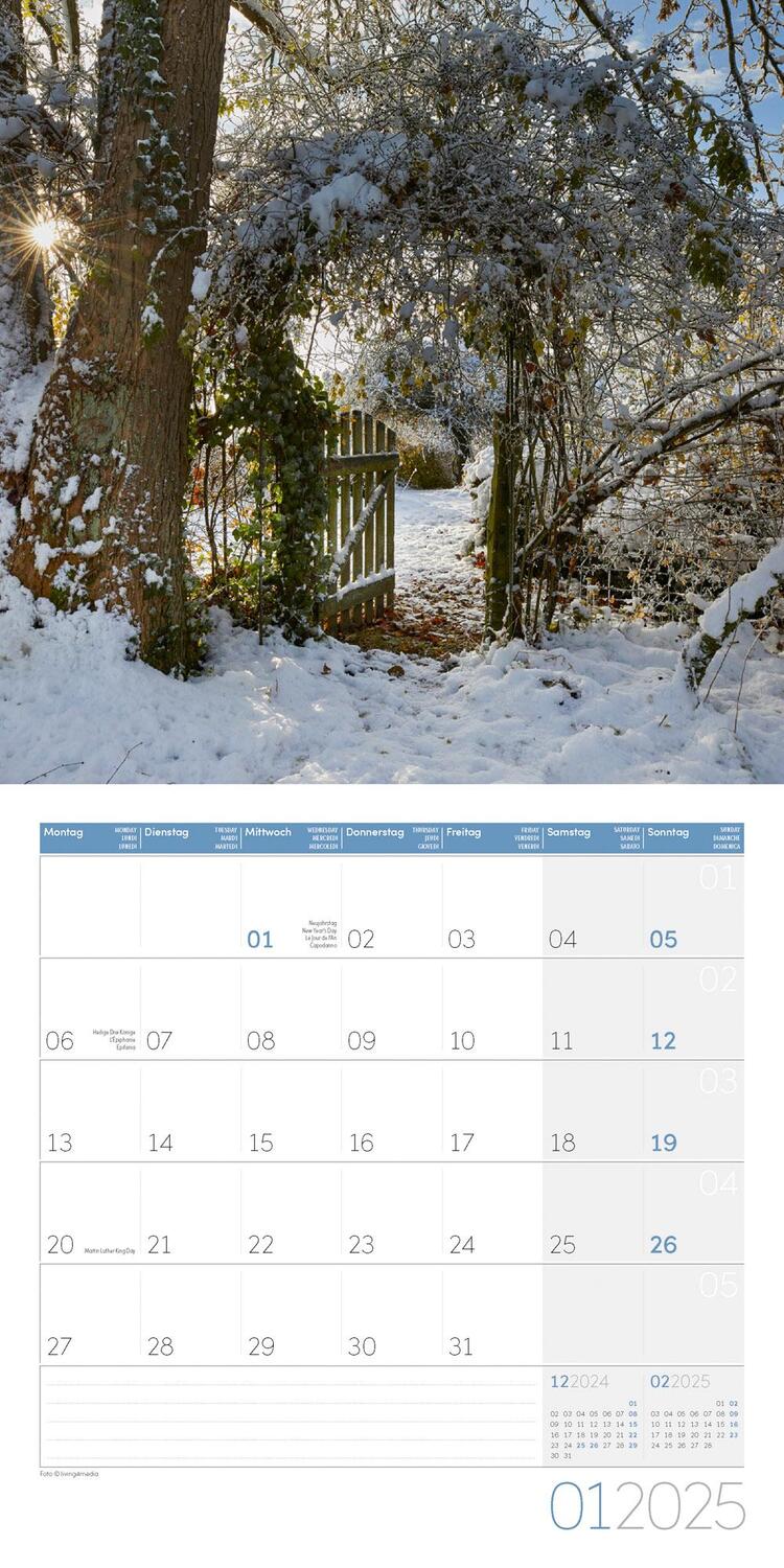 Bild: 9783838445304 | In meinem Garten Kalender 2025 - 30x30 | Ackermann Kunstverlag | 28 S.