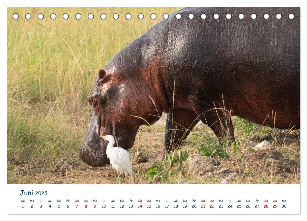 Bild: 9783435001408 | Fernweh Uganda - Naturschönheit Ostafrikas (Tischkalender 2025 DIN...