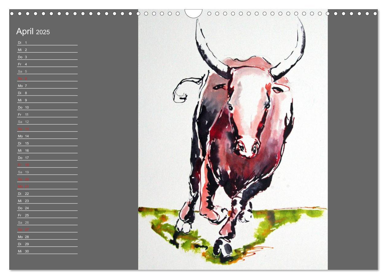 Bild: 9783435625406 | Sternbild Stier (Wandkalender 2025 DIN A3 quer), CALVENDO...