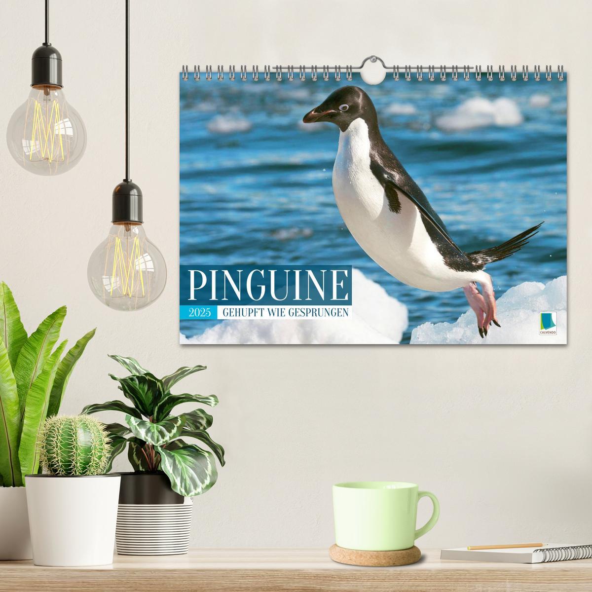 Bild: 9783457197929 | Pinguine: Gehupft wie gesprungen (Wandkalender 2025 DIN A4 quer),...