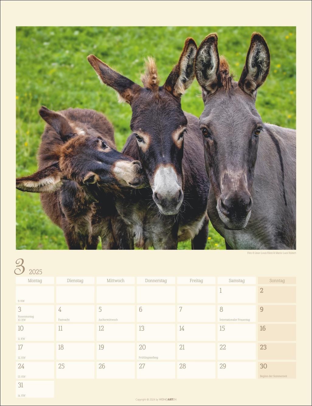 Bild: 9783839900451 | Esel Kalender 2025 | Kalender | Spiralbindung | 14 S. | Deutsch | 2025