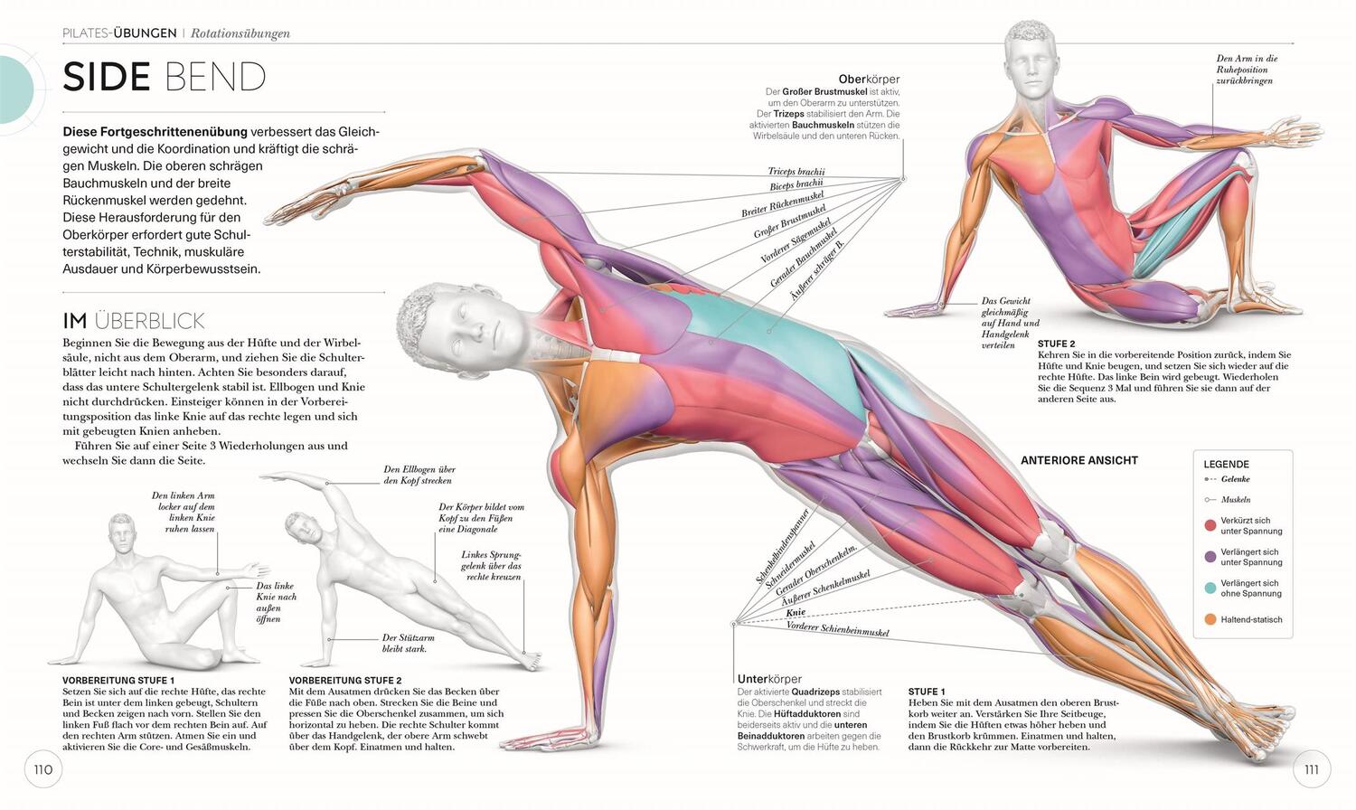 Bild: 9783831046300 | Pilates - Die Anatomie verstehen | Tracy Ward | Taschenbuch | 224 S.