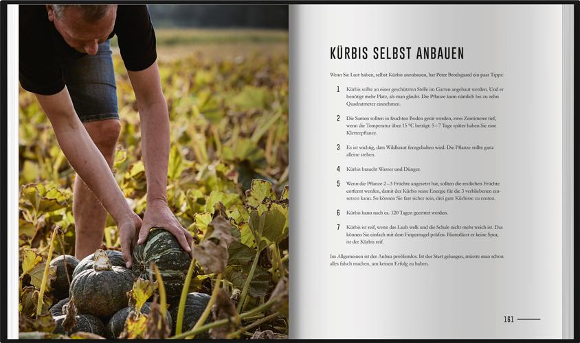 Bild: 9783784356471 | Kürbis - Harte Schale, gesunder Kern | Soren Staun Petersen | Buch