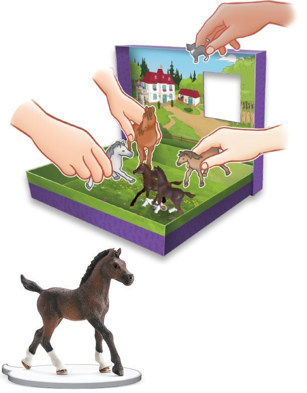 Bild: 9783960803645 | schleich® Horse Club(TM) - Box für Pferdefreunde | 150 S. | Deutsch