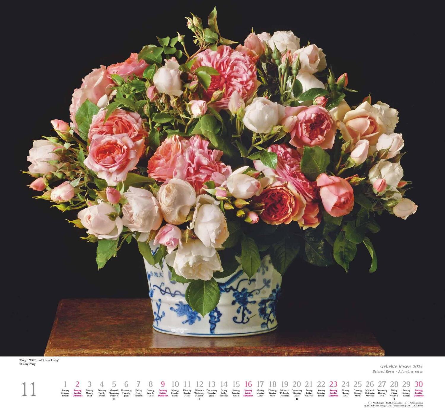 Bild: 4250809653082 | Geliebte Rosen 2025 - DUMONT Wandkalender - mit allen wichtigen...