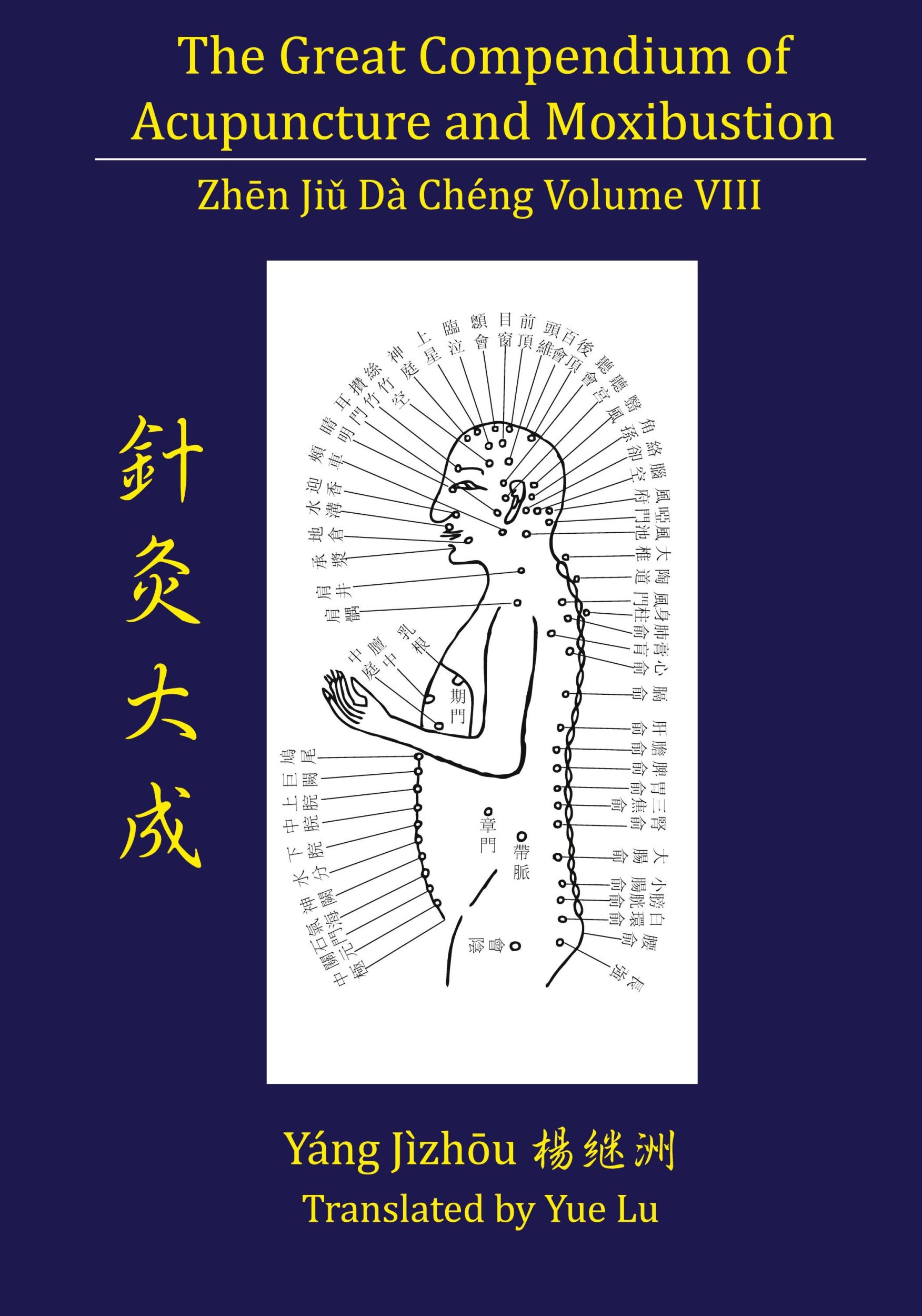 Cover: 9780979955273 | The Great Compendium of Acupuncture and Moxibustion Volume VIII | Buch