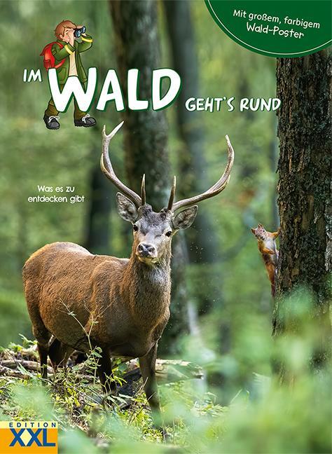 Cover: 9783897366435 | Im Wald geht's rund - mit großem, farbigem Poster | Taschenbuch | 2022