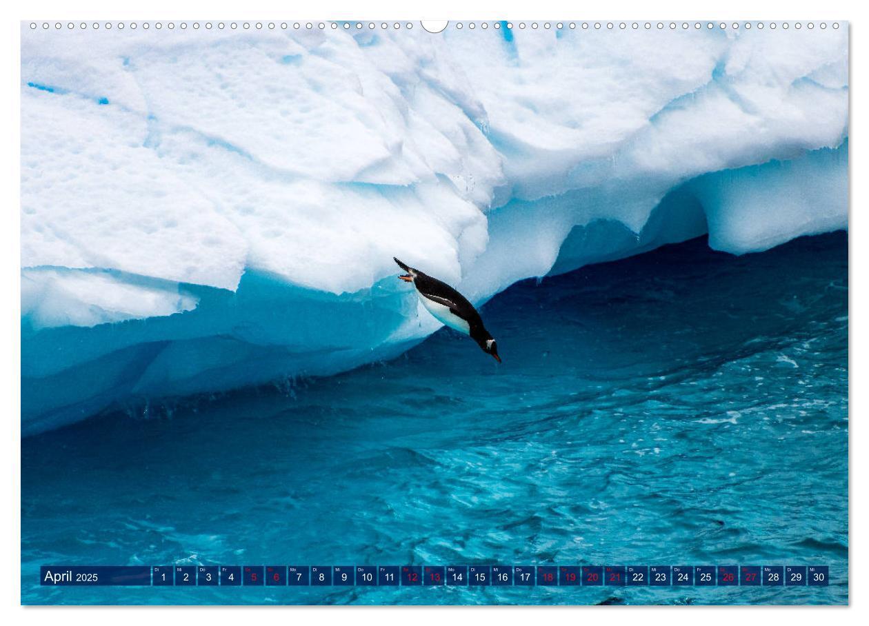 Bild: 9783435252695 | Antarktis Gletscher, Robben, Pinguine (hochwertiger Premium...