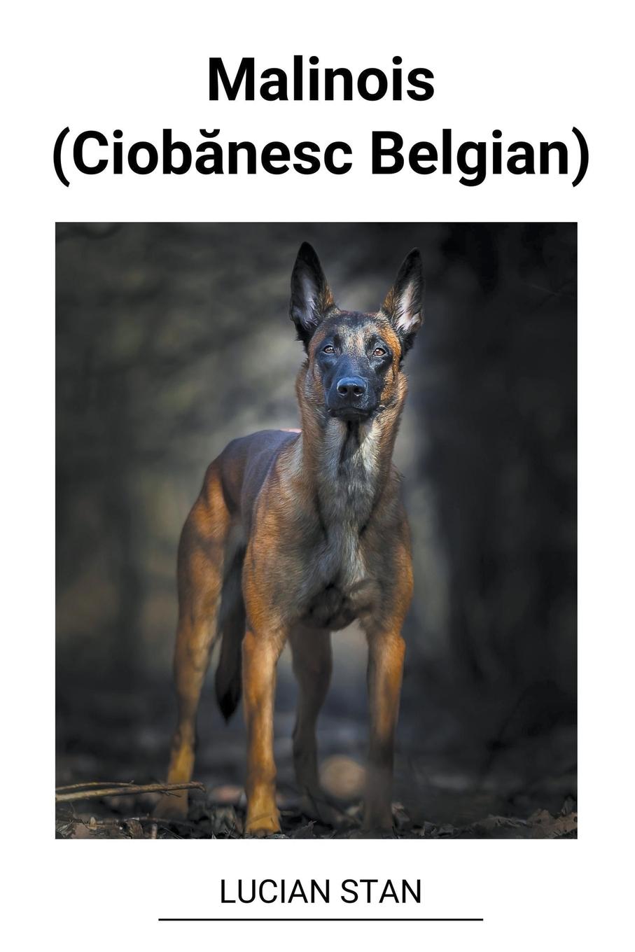 Cover: 9798215974360 | Malinois (Ciob¿nesc Belgian) | Lucian Stan | Taschenbuch | Paperback