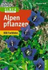 Cover: 9783800133741 | Alpenpflanzen | Thomas Muer (u. a.) | Taschenbuch | Ulmers Naturführer