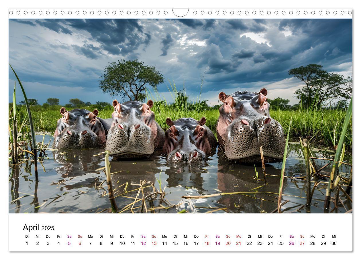 Bild: 9783457171899 | Flusspferde - Hippopotamus amphibius (Wandkalender 2025 DIN A3...