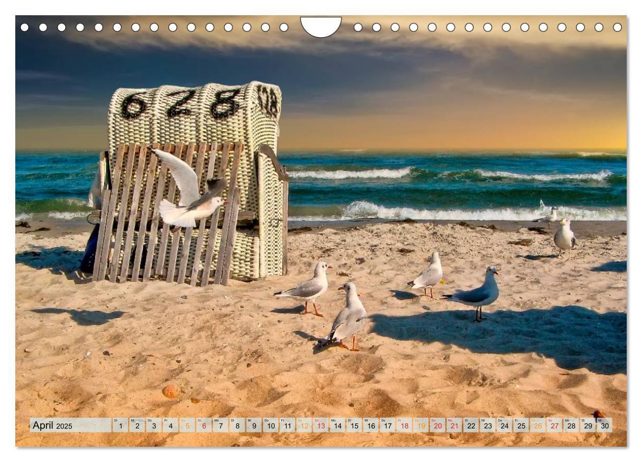 Bild: 9783435545957 | Strandvergnügen - an Nordsee und Ostsee (Wandkalender 2025 DIN A4...