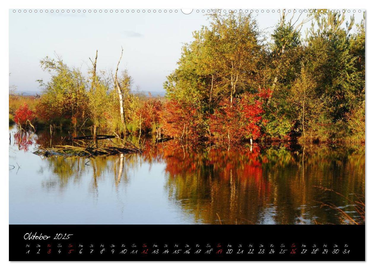 Bild: 9783435566846 | Im Goldenstedter Moor (Wandkalender 2025 DIN A2 quer), CALVENDO...