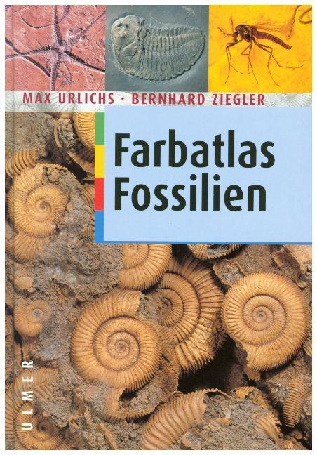 Cover: 9783800135783 | Fossilien | Max Urlichs (u. a.) | Buch | 288 S. | Deutsch | 2003