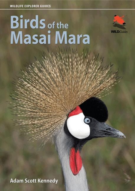 Cover: 9780691155944 | Birds of the Masai Mara | Adam Scott Kennedy | Taschenbuch | Englisch