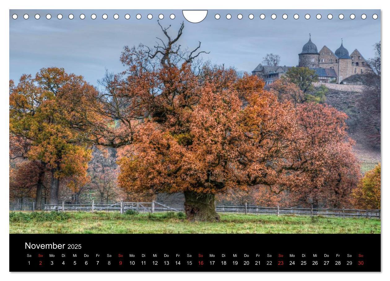 Bild: 9783435812363 | Baum-Variationen (Wandkalender 2025 DIN A4 quer), CALVENDO...