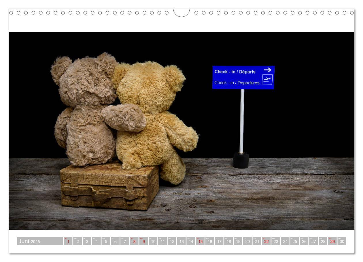 Bild: 9783435253432 | Eddy, der Teddy - 12 Bilder zum Schmunzeln (Wandkalender 2025 DIN...