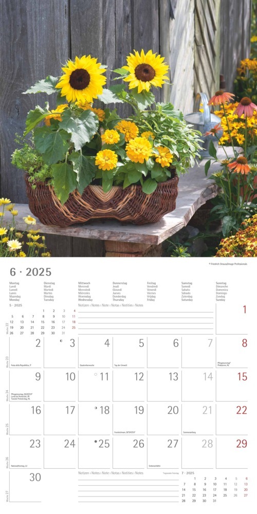 Bild: 4251732340636 | Alpha Edition - Garden &amp; Decoration 2025 Broschürenkalender,...