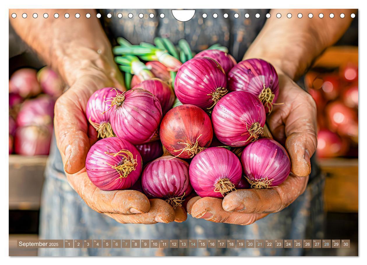 Bild: 9783383795572 | Mein Gemüsegarten - Ein Jahr knackig frisches Gemüse (Wandkalender...