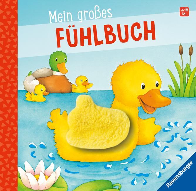 Cover: 9783473420223 | Mein großes Fühlbuch | Sandra Grimm | Taschenbuch | 12 S. | Deutsch