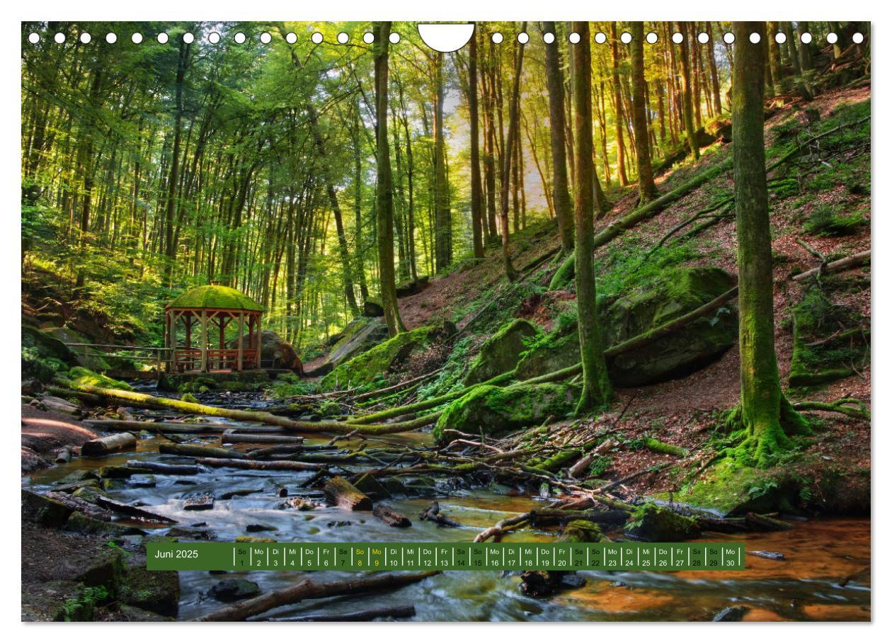 Bild: 9783383939549 | Magischer Pfälzer Wald (Wandkalender 2025 DIN A4 quer), CALVENDO...