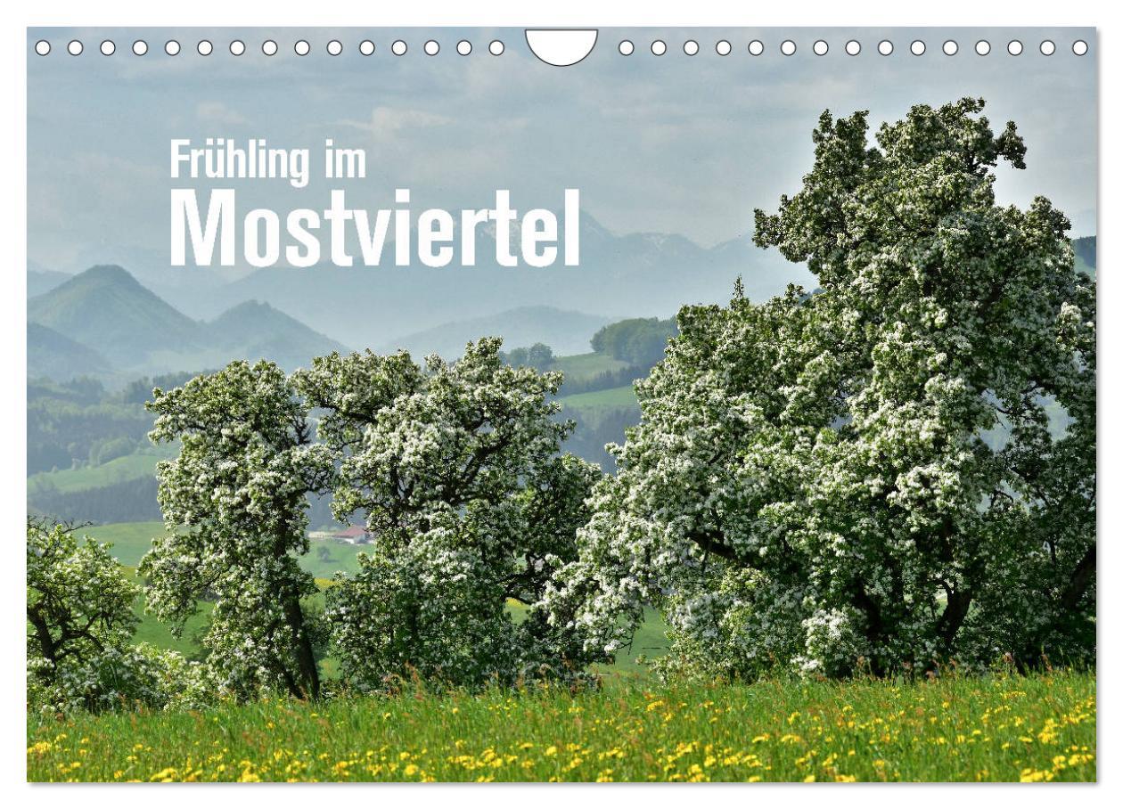 Cover: 9783435288618 | Frühling im Mostviertel (Wandkalender 2025 DIN A4 quer), CALVENDO...