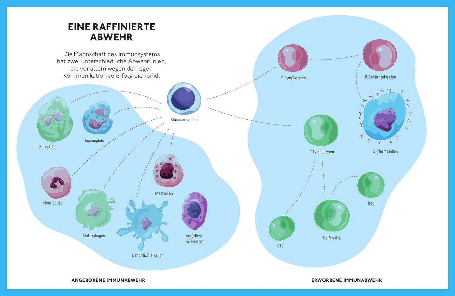 Bild: 9783747105740 | Für ein fittes Immunsystem | Christine Hutterer | Taschenbuch | 160 S.