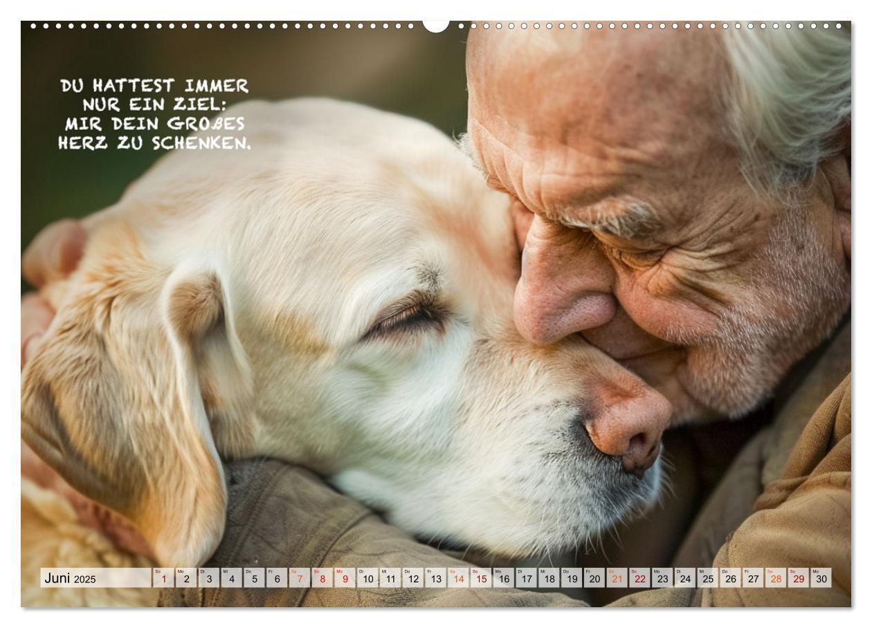 Bild: 9783457165683 | Hunde und berührende Sprüche (Wandkalender 2025 DIN A2 quer),...