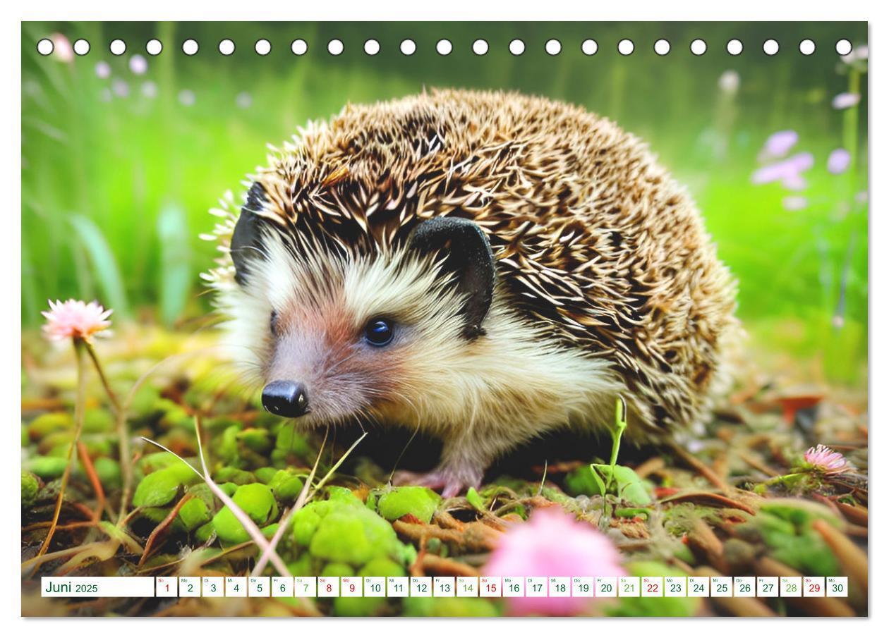 Bild: 9783383869730 | Niedliche Igel (Tischkalender 2025 DIN A5 quer), CALVENDO...