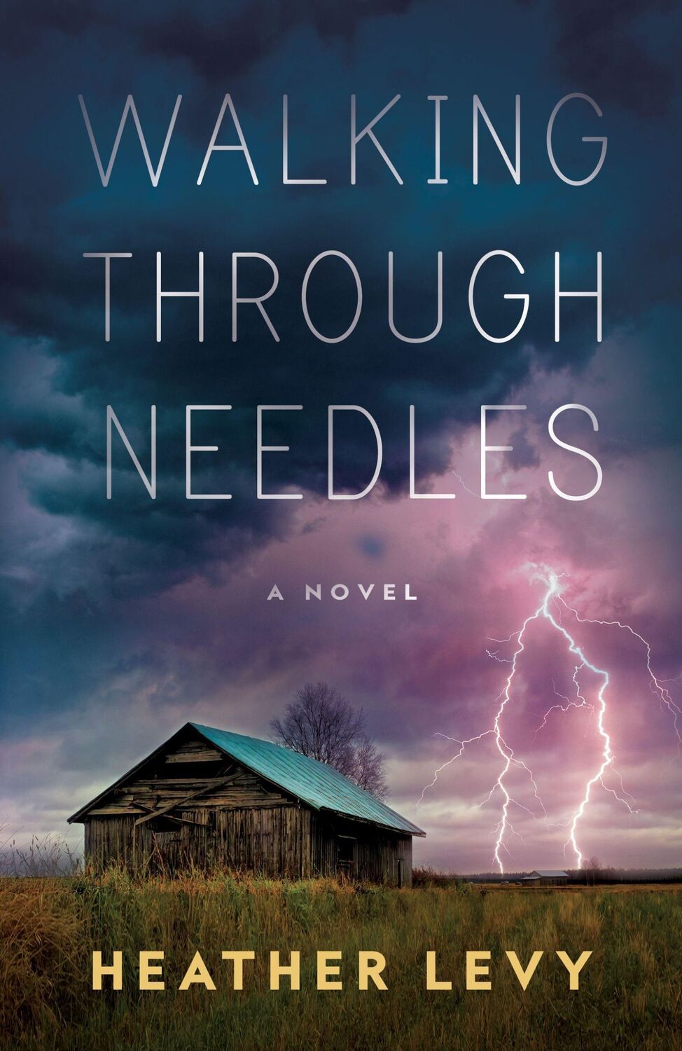 Cover: 9781951709877 | Walking Through Needles | Heather Levy | Taschenbuch | Englisch | 2022