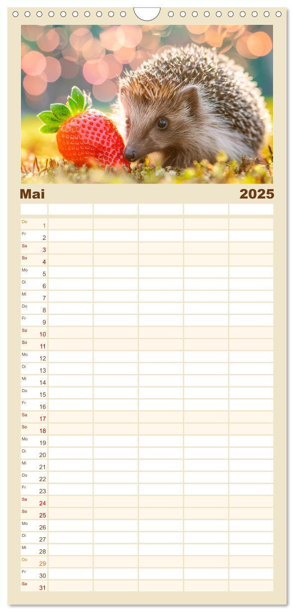 Bild: 9783457193037 | Familienplaner 2025 - Mein Igel-Kalender mit 5 Spalten...