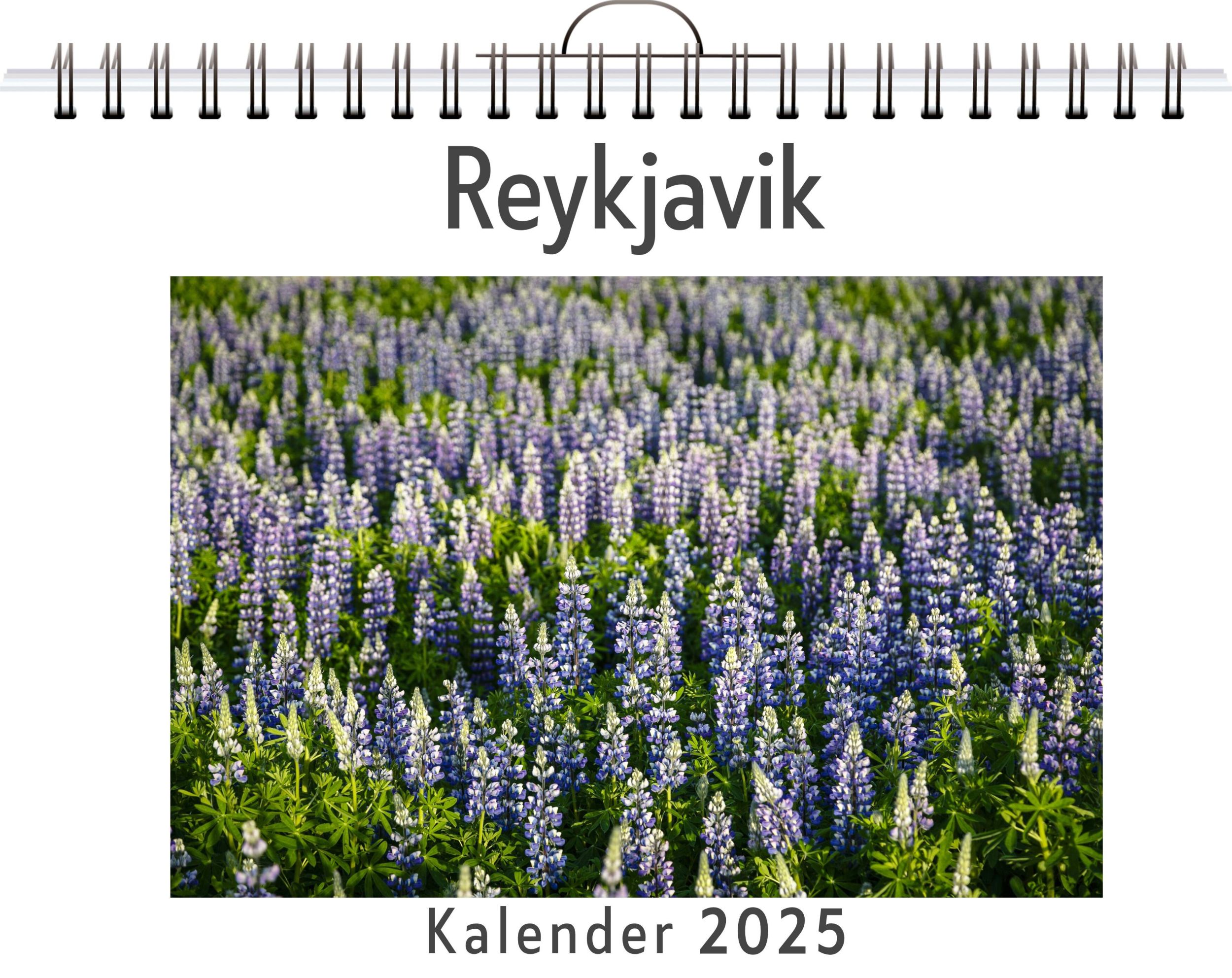 Cover: 9783759119131 | Reykjavik | Sarah Kaiser | Kalender | Kalender | 14 S. | Deutsch