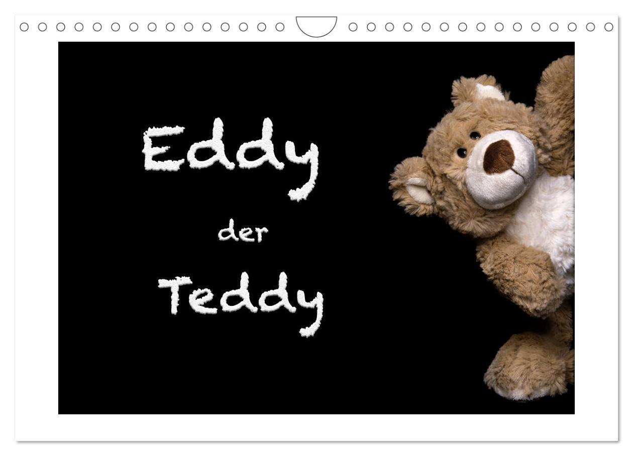 Cover: 9783435254767 | Eddy, der Teddy (Wandkalender 2025 DIN A4 quer), CALVENDO...