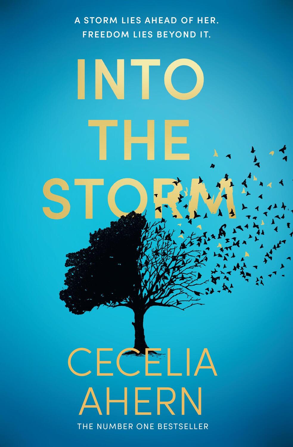 Cover: 9780008195021 | Into the Storm | Cecelia Ahern | Buch | Englisch | 2024