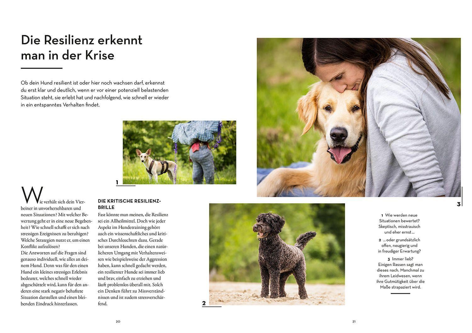 Bild: 9783440172933 | Resilienz bei Hunden | Vanessa Engelstädter | Taschenbuch | 192 S.