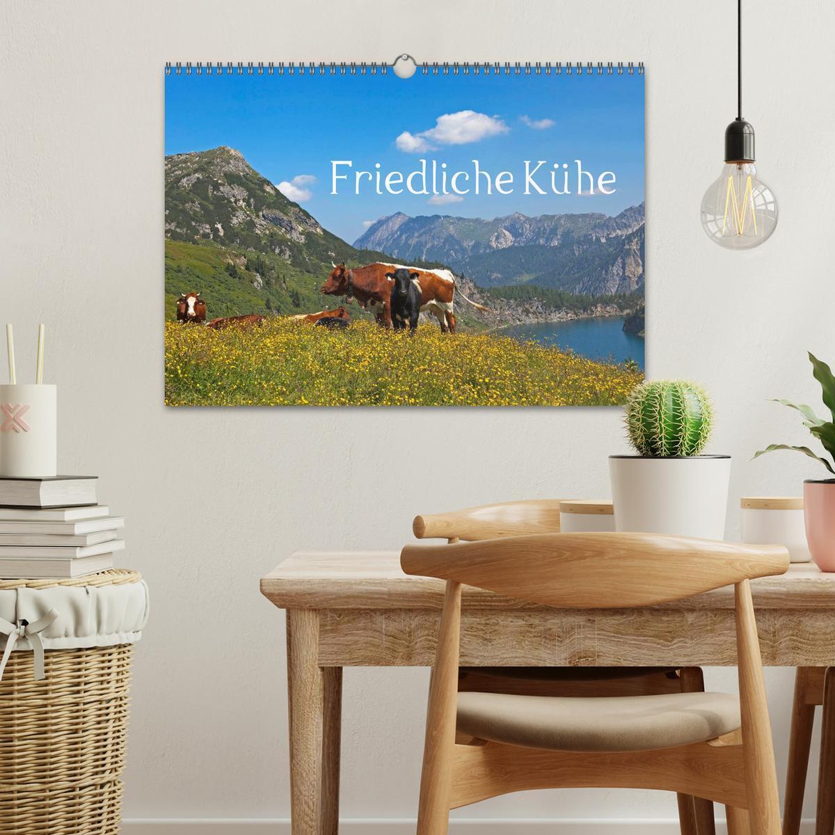 Bild: 9783435536078 | Friedliche Kühe (Wandkalender 2025 DIN A3 quer), CALVENDO...