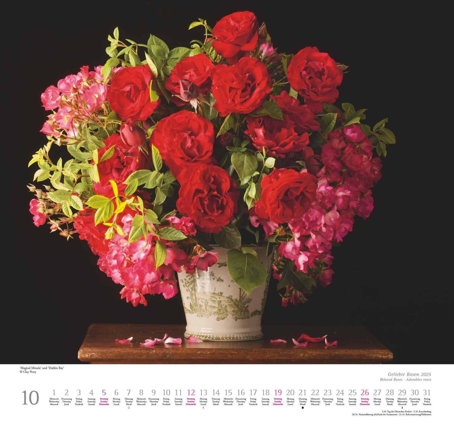 Bild: 4250809653082 | Geliebte Rosen 2025 - DUMONT Wandkalender - mit allen wichtigen...