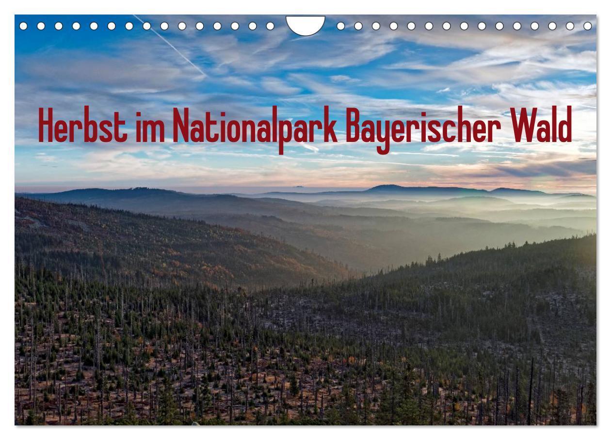 Cover: 9783435537990 | Herbst im Nationalpark Bayerischer Wald (Wandkalender 2025 DIN A4...