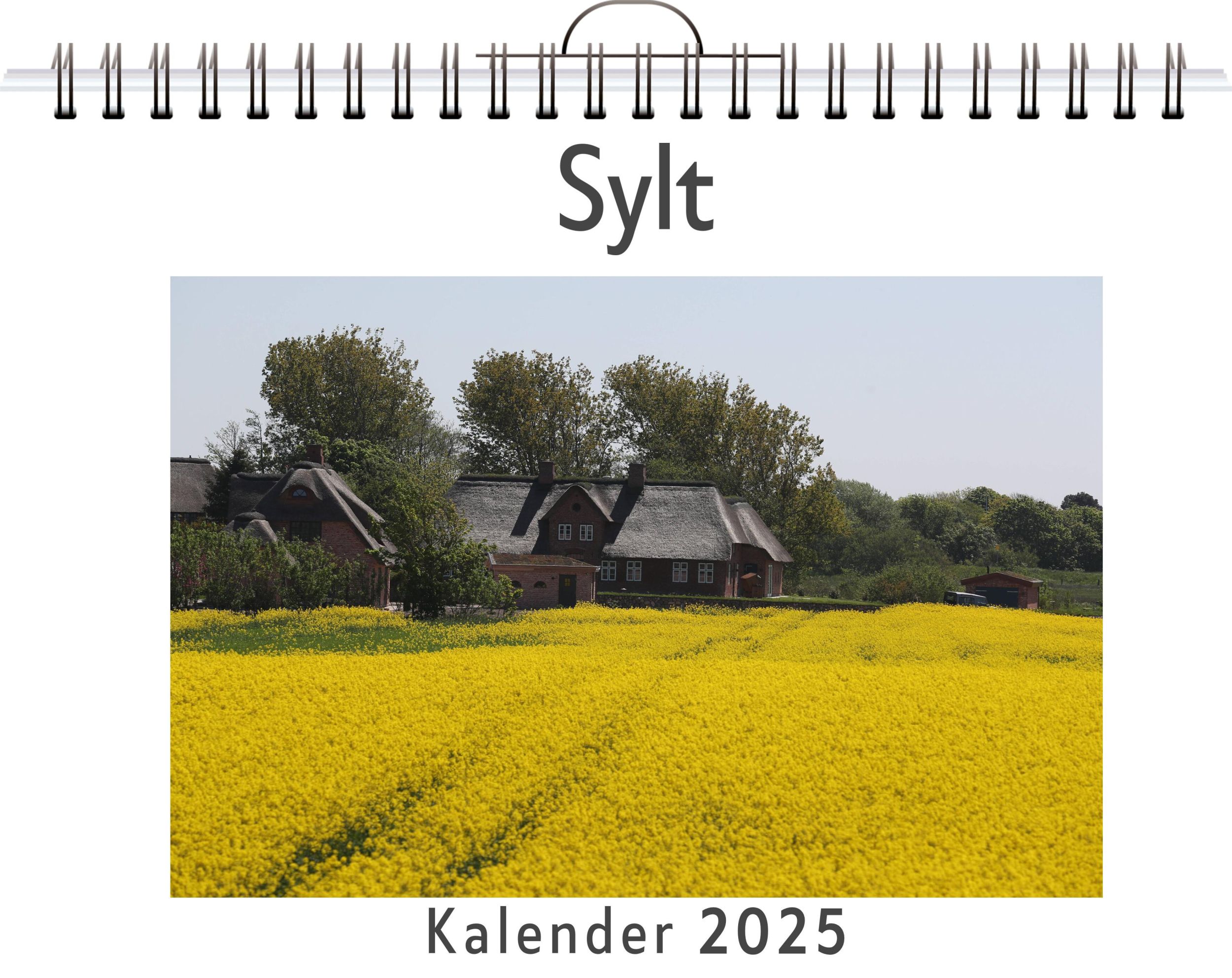 Cover: 9783759125880 | Sylt | Julia Neumann | Kalender | Kalender | 14 S. | Deutsch