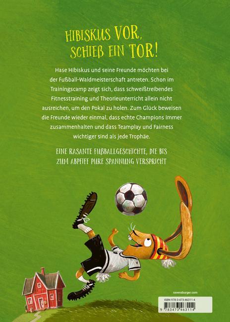 Bild: 9783473463114 | Hase Hibiskus und die Fußball-Waldmeisterschaft (Fußball-Buch für...