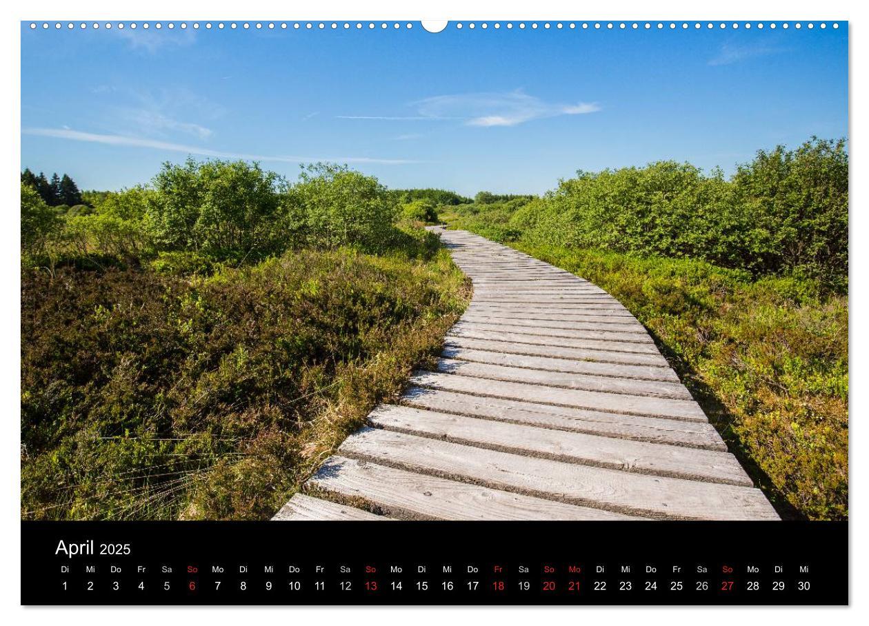 Bild: 9783435557288 | HOHES VENN - Einblicke in ein Hochmoor (Wandkalender 2025 DIN A2...