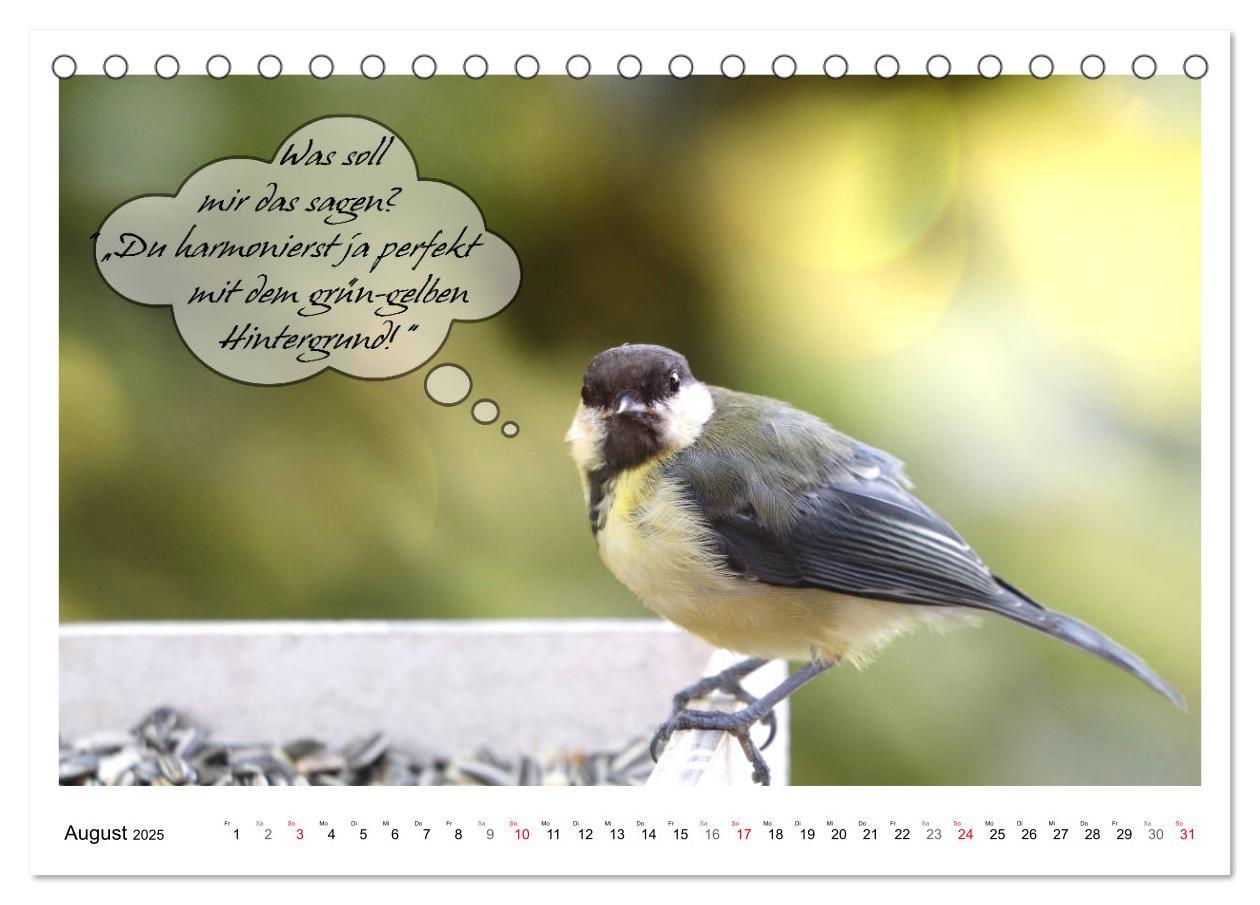 Bild: 9783435113446 | Vögel mit Humor (Tischkalender 2025 DIN A5 quer), CALVENDO...