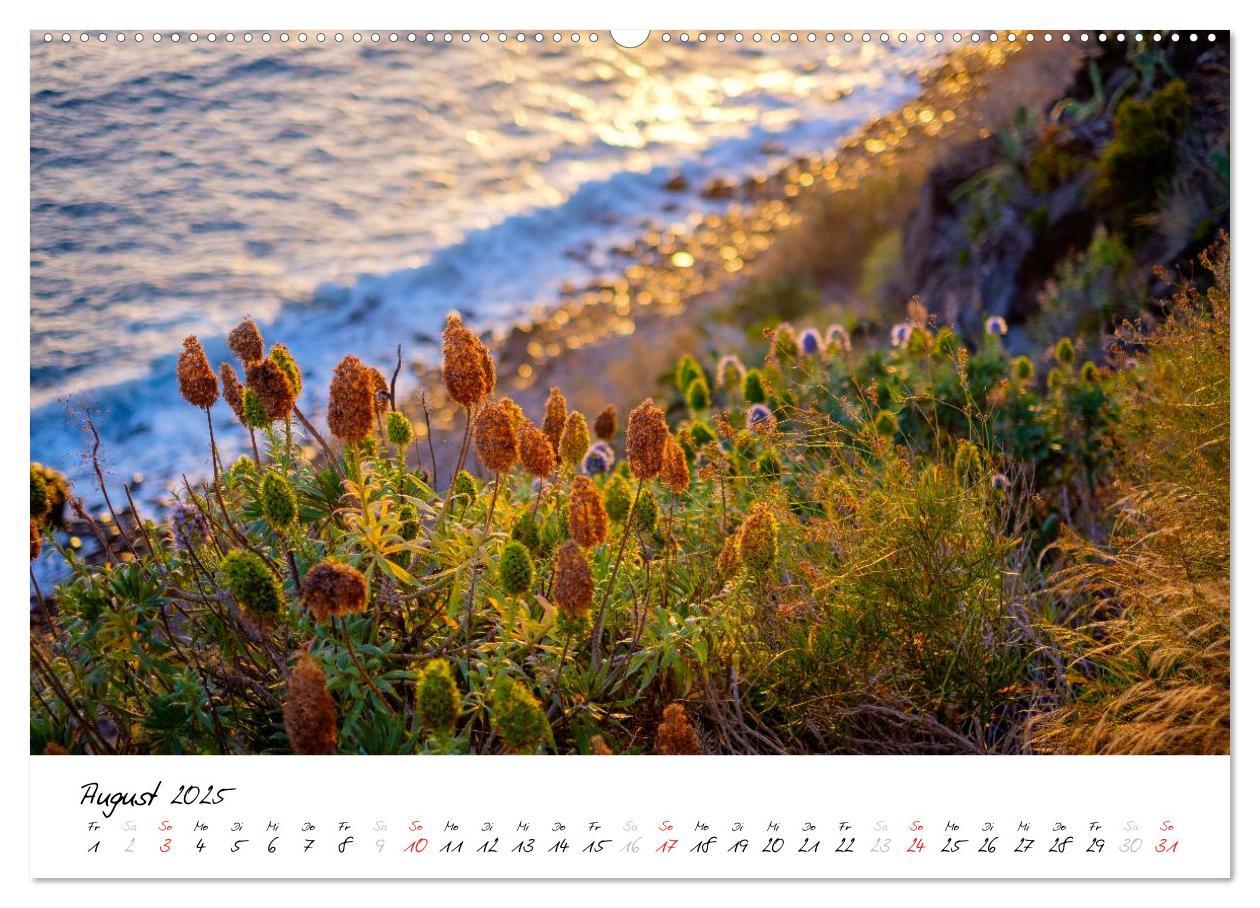 Bild: 9783435561513 | Madeira - ewiger Frühling (Wandkalender 2025 DIN A2 quer), CALVENDO...